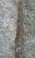 sandymount tower 10855.jpg